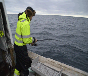 Fishing in Norway,Rybalka in Norway